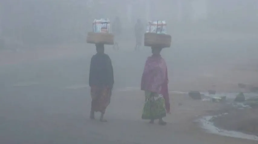 Cold Wave Alert In Odisha: Orange, Yellow Warning Issued In Several Districts