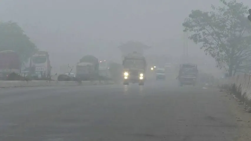 Cold Wave In Odisha: IMD Issues Health Warning For Infants, Elderly & Livestock