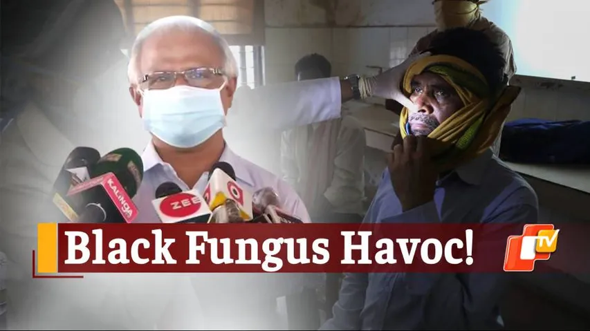Black Fungus Has Claimed 18 Lives In Odisha, 129 Infections Detected So Far