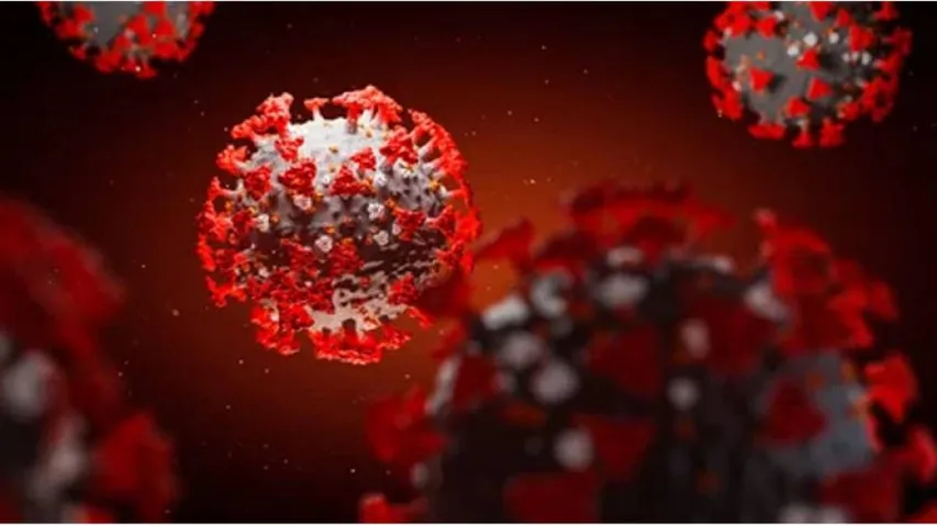 COVID-19 Treatment: This New Model May Speed Drug Discovery