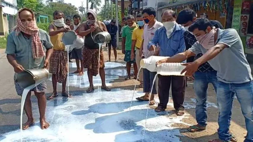 Coronavirus Lockdown Impact: Odisha Dairy Farmers Dump Milk On Road