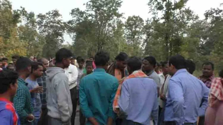 Woman killed in elephant attack while collecting firewood in Rajgangpur