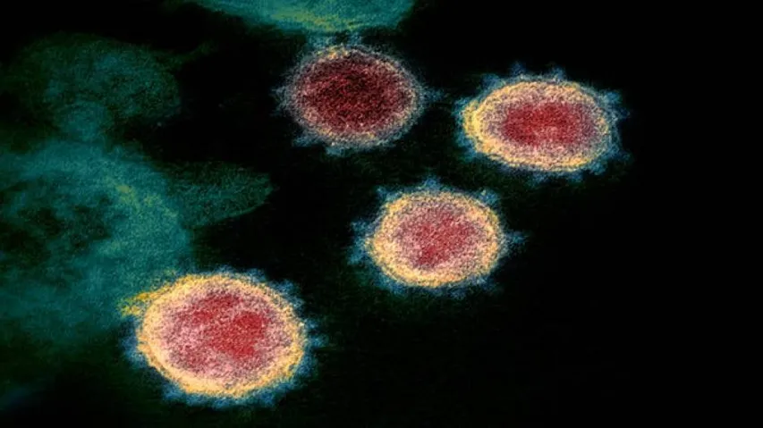 Coronavirus: Odisha Logs 2613 More Recoveries In A Day