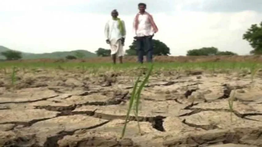 Op-Ed: Spectre Of Drought Hovering Over Odisha