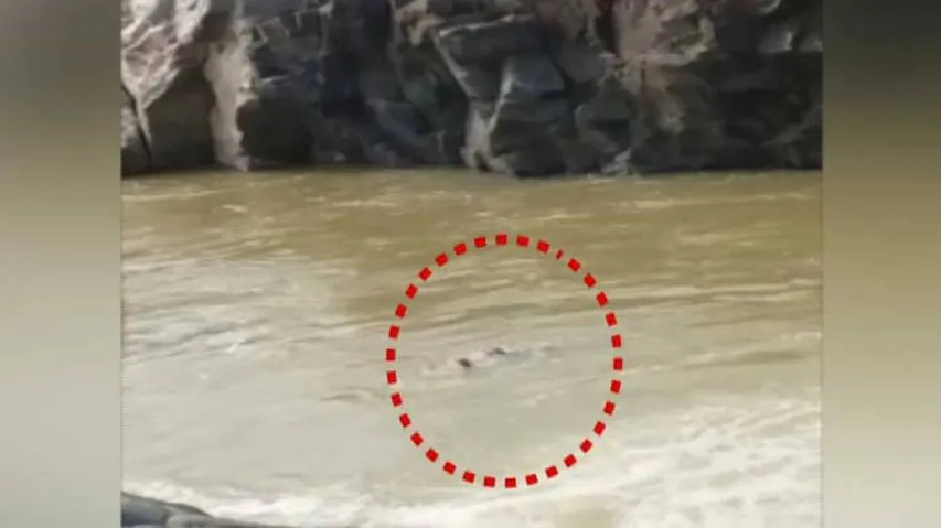 Video of youth drowning at Bhimkund waterfall goes viral