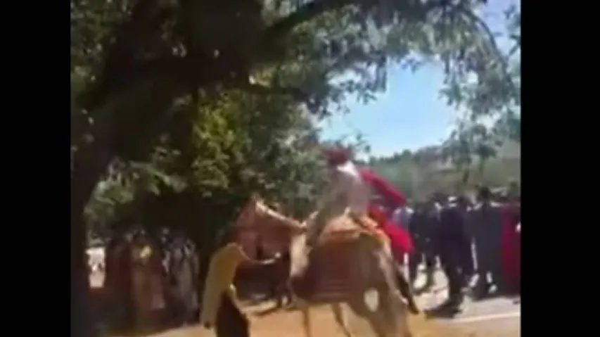 Drugged horse throws groom into air