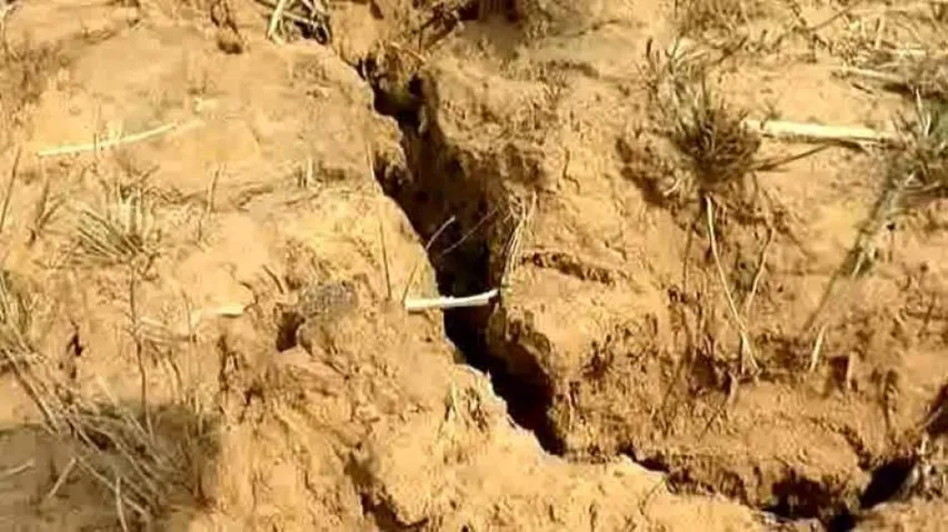 Water Crisis: Farming Hit By Drought-like Situation In Sambalpur