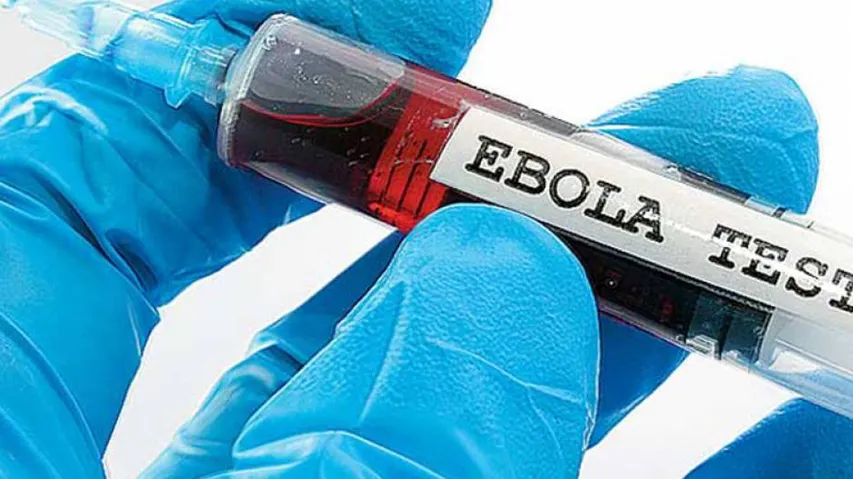 Ebola Infects 28 People, Kills 11 In Guinea, Congo