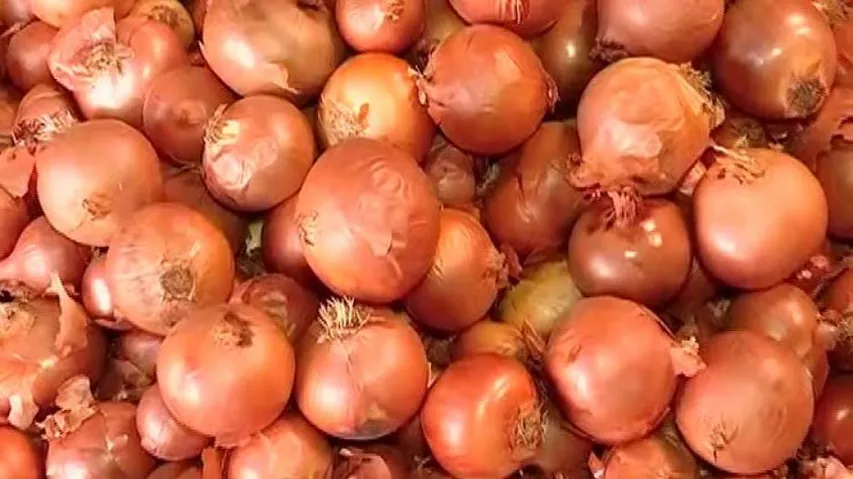 Imported Onions From Egypt Reach Odisha