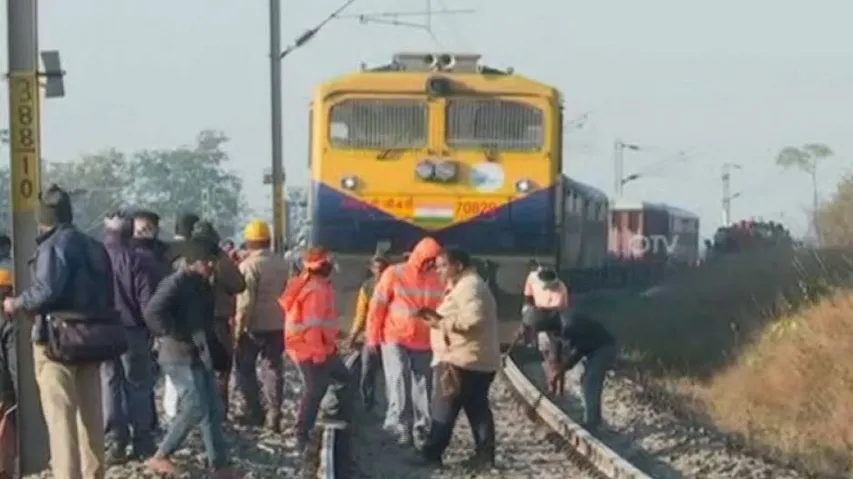 Odisha: 2 Elephants Killed After Being Hit By Train In Rourkela