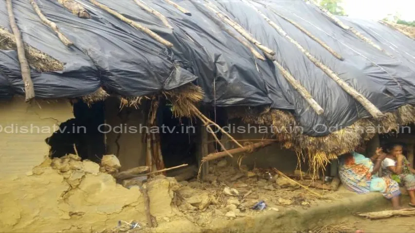 Woman killed in elephant attack in Dhenkanal
