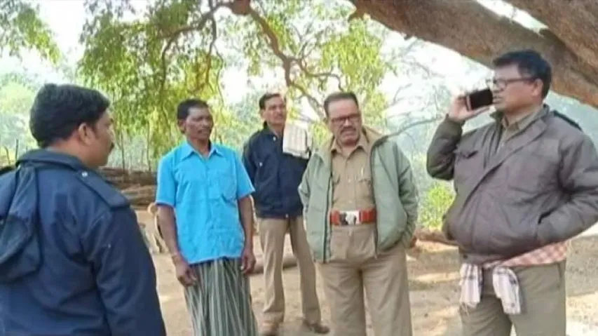 Elephants continue to damage crops in Rayagada