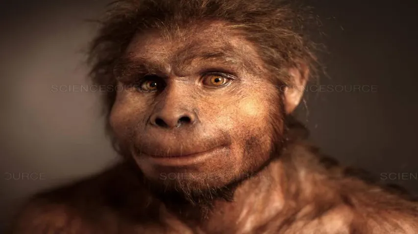 Why Homo Erectus went extinct?