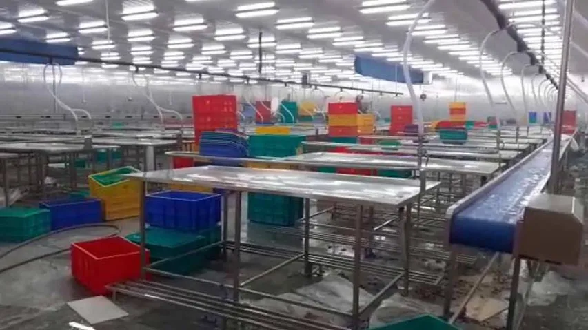 Factory Mishap: 7 Officials Of Falcon Marine Exports Arrested