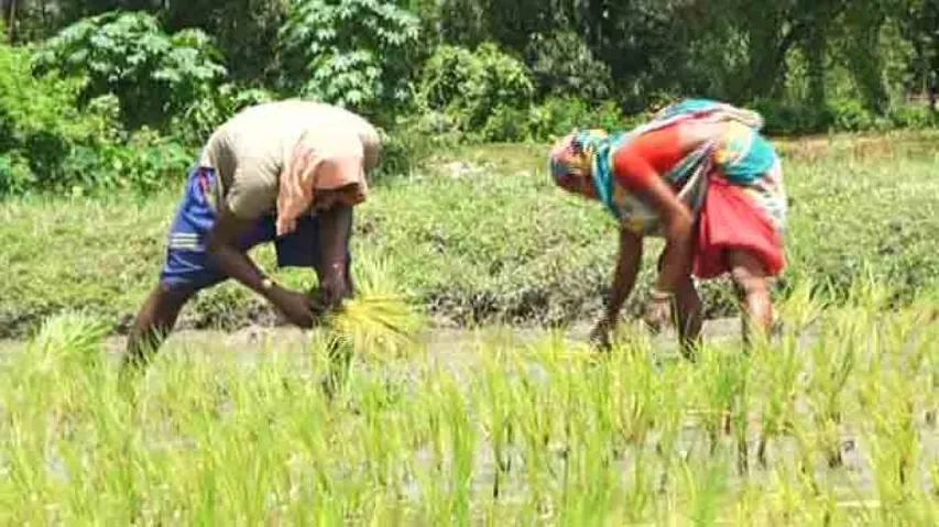 PM-Kisan Pension: Farmers' contribution to be Rs 100/month