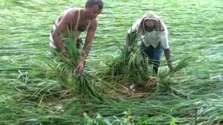 Op-Ed: NITI Aayog is right: Farm loan waiver is indeed a ‘palliative’