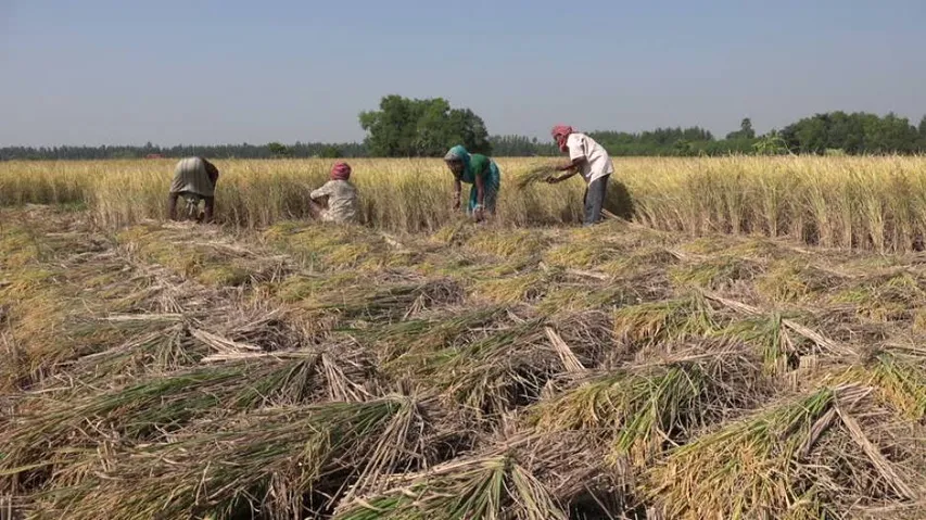 Opp sceptical of govt deadline for payment of Rs 100 a quintal addl aid to farmers