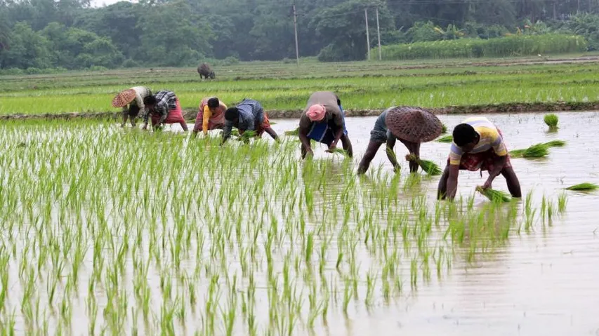 Odisha govt approves 23 projects under RKVY