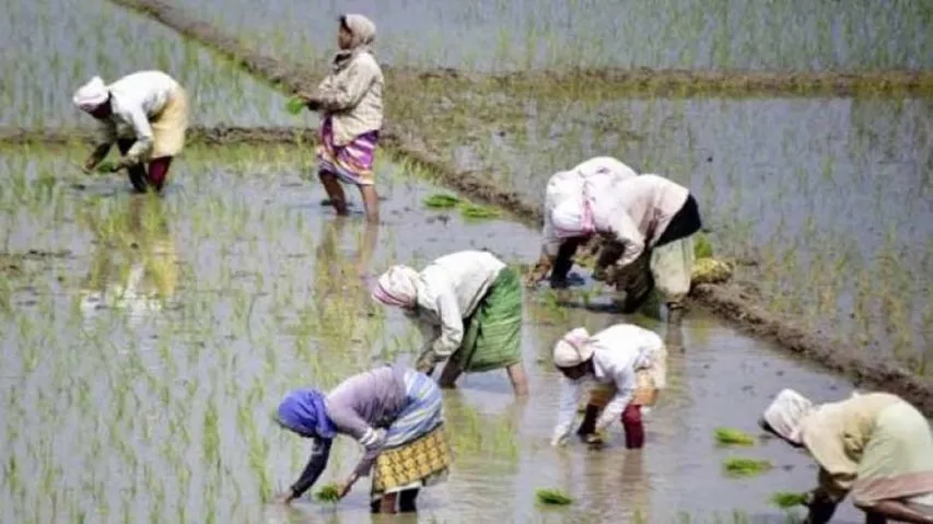 Farmers have to pay Rs 100 per month under pension scheme