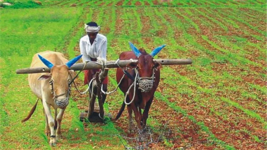 Odisha clears Rs 216.22 cr agriculture input subsidy for drought-hit farmers
