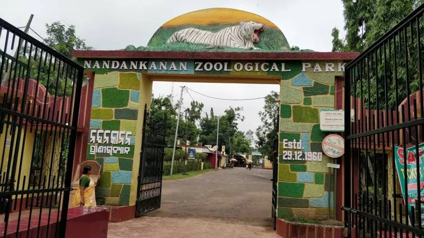Bhubaneswar: Two Tiger Cubs Taken Unwell In Nandankanan