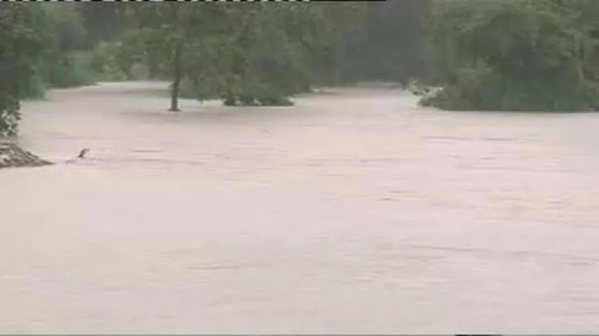 Rain Batters Parts Of Odisha, Water Levels Of Rivers Rise