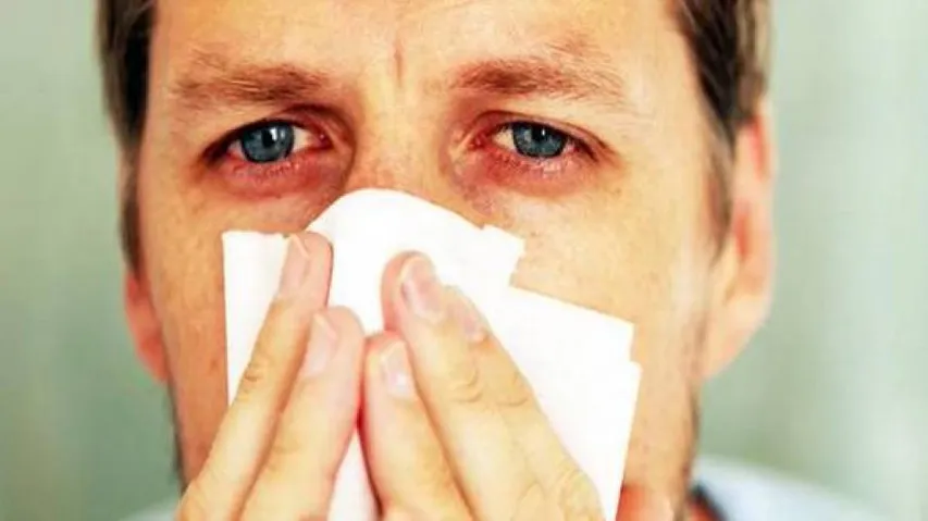 Some nose, throat bacteria less likely to develop into flu: Study