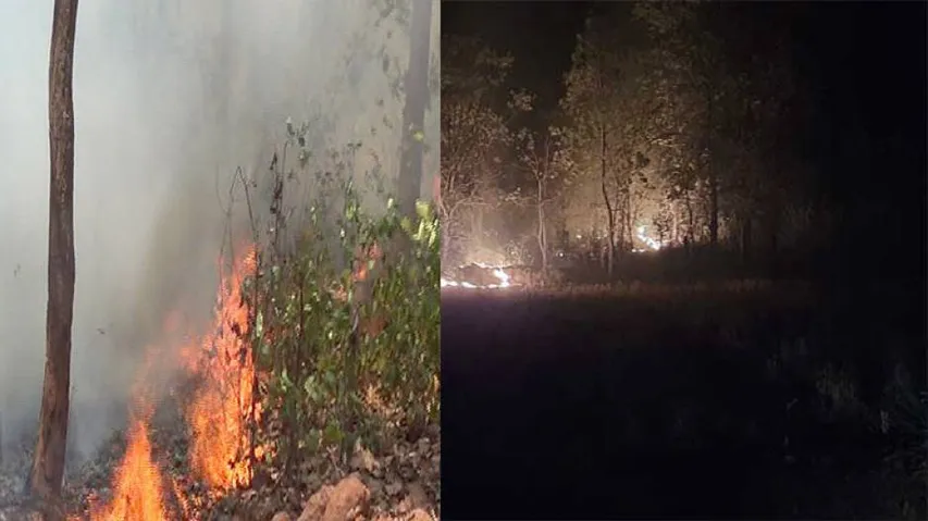 Odisha Forest Fire Goes Wild: 208% Rise in Large Fire Events In 96 Hrs!