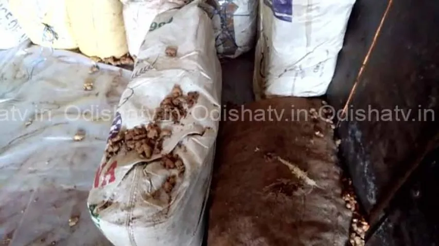 Ginger bags containing ganja worth more than Rs 1 cr seized