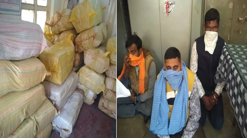 Ganja Worth Over Rs 1.5 Crore Seized In Separate Raids In Berhampur, Rayagada; 3 Arrested