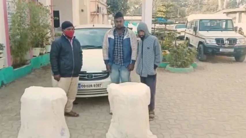 Odisha: Home Guard Among 3 Arrested For Ganja Smuggling In Kandhamal
