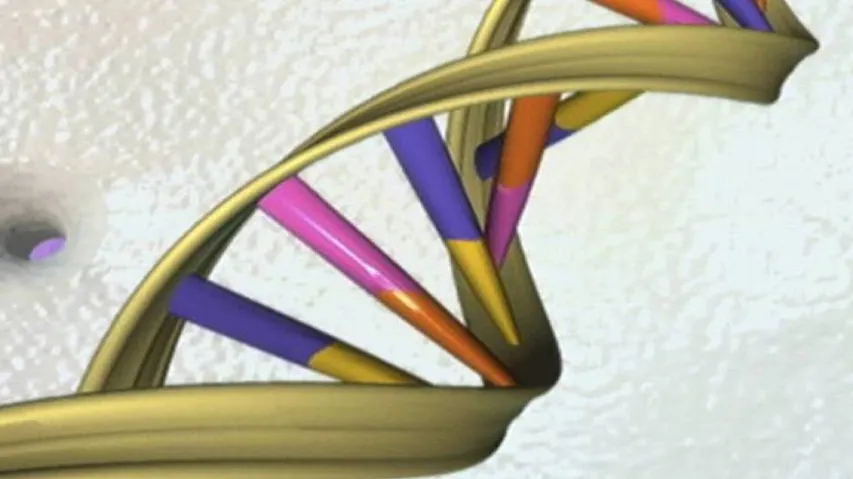Scientists identify gene that helps treat cancer