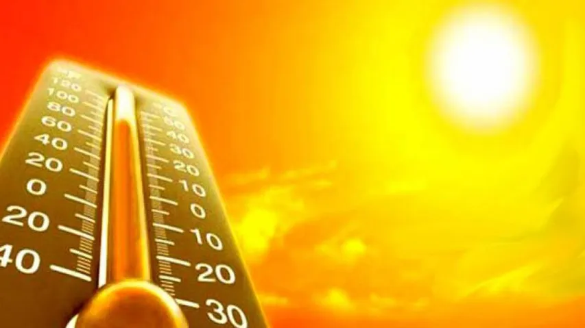 Odisha sizzles under intense heatwave, 13 places record temp above 40 degree Celsius