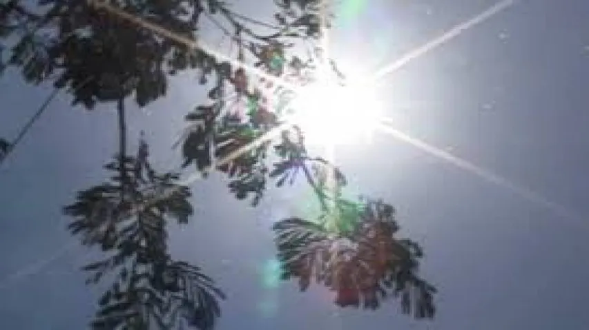 IMD issues yellow warning for heat wave in Odisha districts