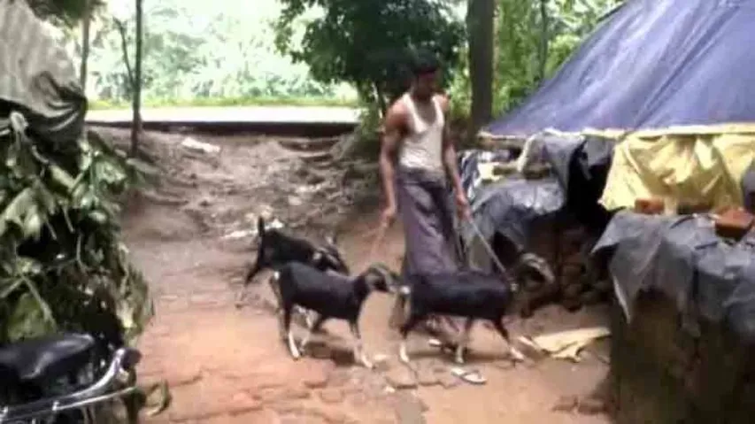 Govt guidelines elude beneficiaries from getting houses under PMGAY