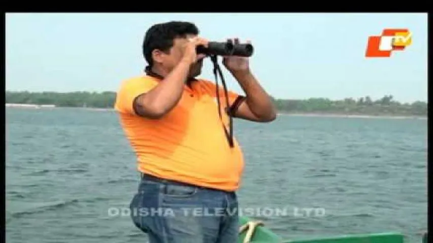 Irrawaddy dolphin census completed in Chilika