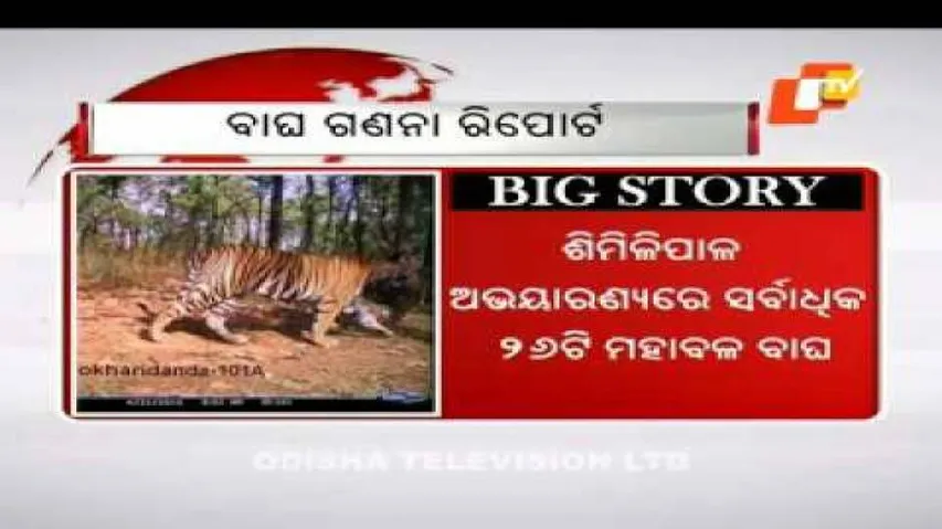 Odisha has 40 tigers, 318 leopards