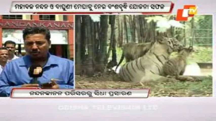 Tigress Megha gives birth to two cubs at Nandankanan