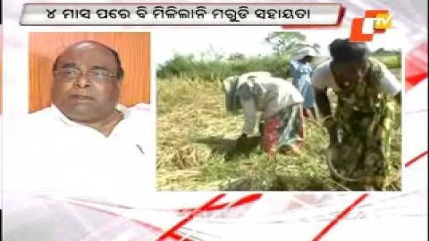 Drought-hit farmers left in lurch due to delay in submitting Honorary Certificate