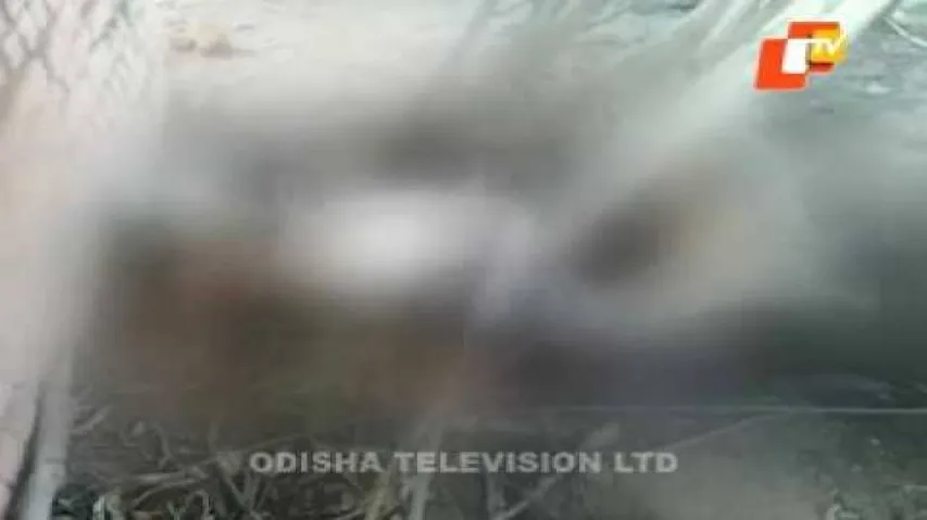 Lightning kills three in Nabarangpur