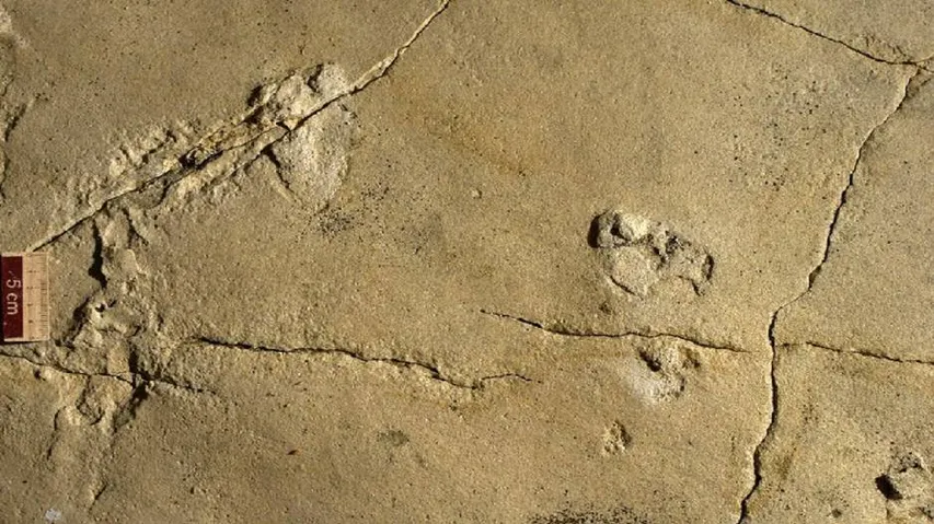 5.7 million years old human-like footprints found in Greece