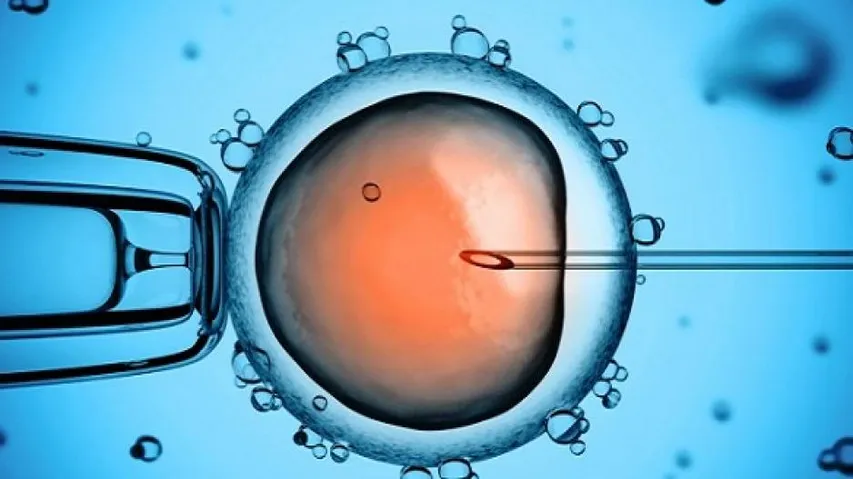 One million babies born in US using IVF: Report