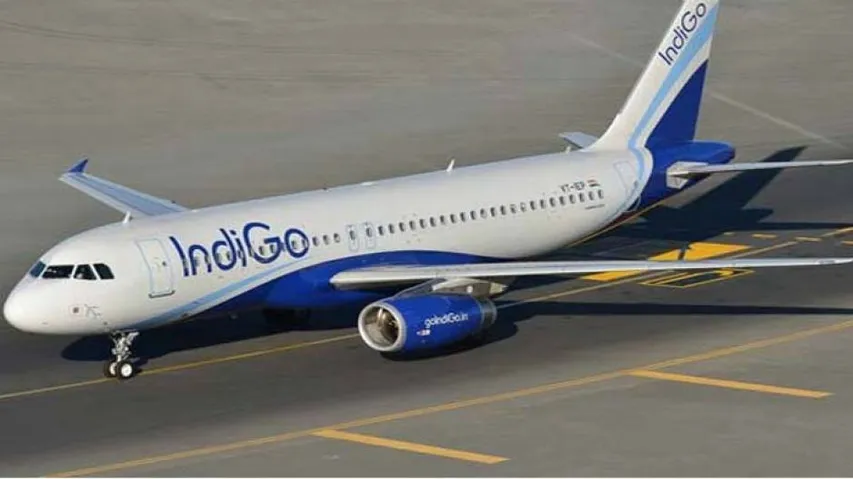 Bhubaneswar-New Delhi Indigo flight makes emergency landing after bird strike