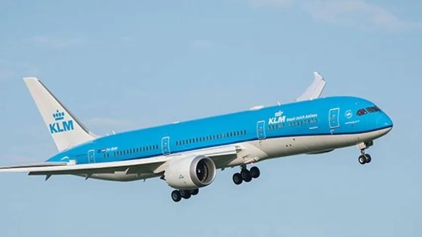 Panel falls from aircraft, smashes into car in Japan