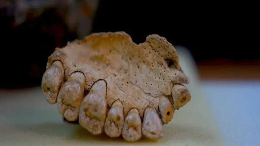 Jawbone from Israeli cave oldest human fossil outside Africa