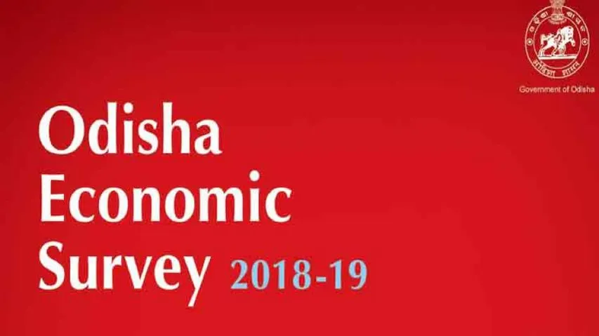Odisha Eco-Survey 18-19 paints rosy scenario: GSDP up 8.4%, farm growth 8.3%