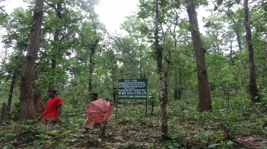 Poaching bid foiled, 6 held