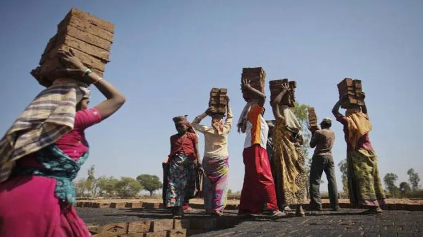 Compensation for contract labour stressed