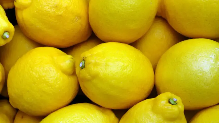 lemon