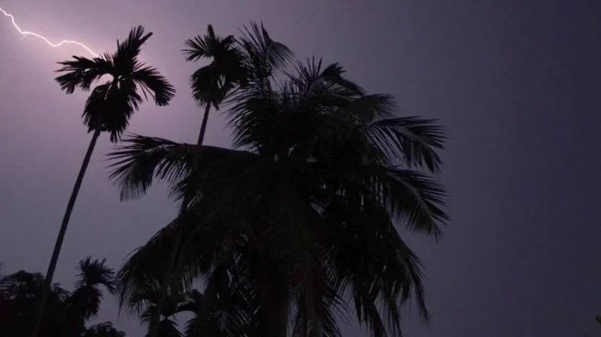 2 Killed, Several Injured In Lightning Strike As Norwester Rain Wreaks Havoc Across Odisha